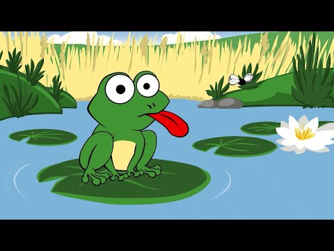 ♪ ♪ Mmh macht der grüne Frosch - zum Mitsingen und Tanzen | Rodscha und Tom - Kinderlieder