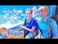 Aquarium Of The Pacific Blippi Educational Videos Spooky Halloween Stories For Kids