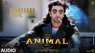 ANIMAL:Evarevaro -Audio  Ranbir K RashmikaAnil K B