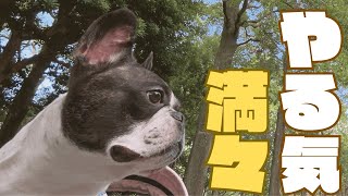 こんな秋晴れの日はお出かけ🐶🐾