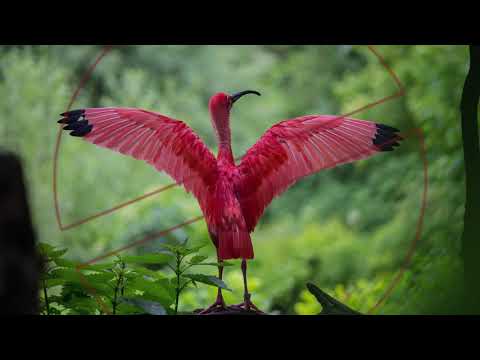 HHMR, DannyZ & Sergius - Me Without You (X6zT Remix) [ft. Anthony Meyer] [No Copyright]