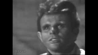 Del Shannon "Stranger in Town"