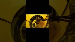 #carnivalcelebration #carnivalwaterworks #waterslide #waterpark #youtubeshorts #twister #cruise