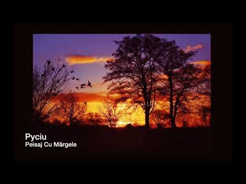 PYCIU- Peisaj Cu Mărgele