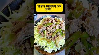 甘辛ネギ豚肉サラダ作ります。茹でるだけ簡単レシピ。ピリ辛でご飯がススム。サラダ風にしましたがそのまま食べても美味しい #簡単レシピ #ネギ豚肉料理 #料理動画