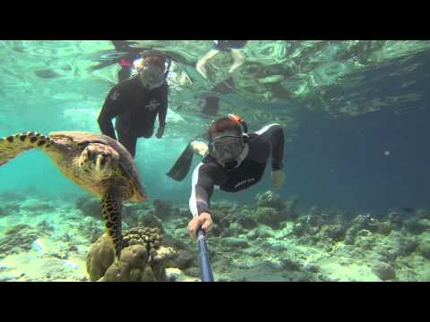 Maldives Vilamendhoo Island 2013