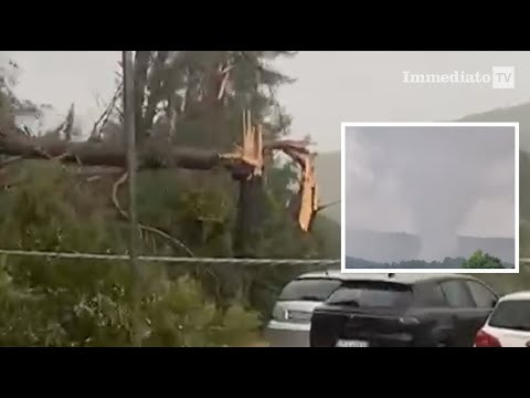TROMBA D'ARIA A PESCHICI, ALBERI DISTRUTTI E PAURA TRA I TURISTI