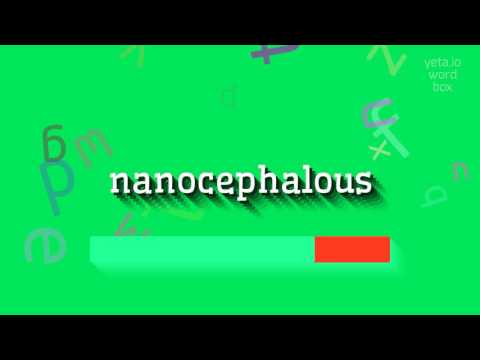 How to say "nanocephalous"! (High Quality Voices)