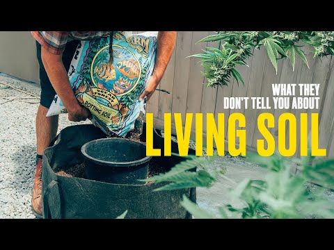 What They Don't Tell You About Living Soil: Jeff Lowenfels Spills the Dirt