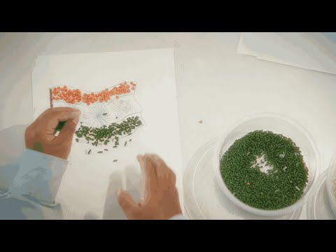 Happy Republic Day From - SWEY