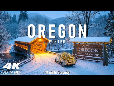 Winter Oregon 4K ❄️ Crater Lake Ridges, Snowy Waterfalls, Mount Hood Pines in Quiet Winter Light