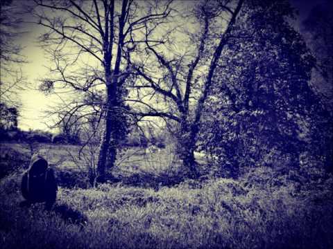 Chris Taylor - Témoin du Mal (réalisation Loko Néo)