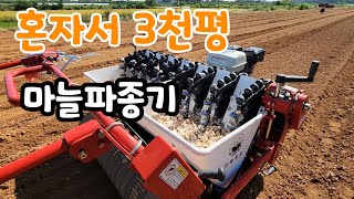 마늘파종기 혼자서 3,000평 파종 인건비 걱정 뚝