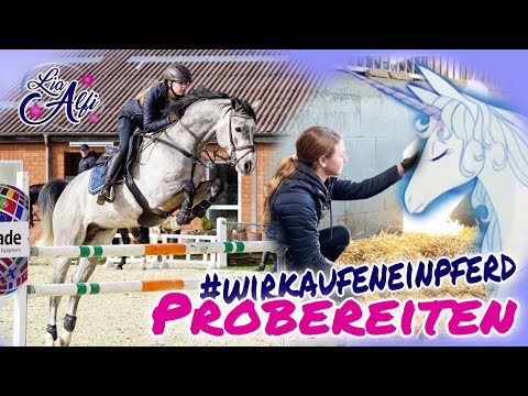 Lia & Alfi - Probereiten - Wir kaufen ein Pferd