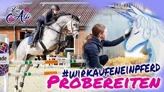 Lia & Alfi - Probereiten - Wir kaufen ein Pferd