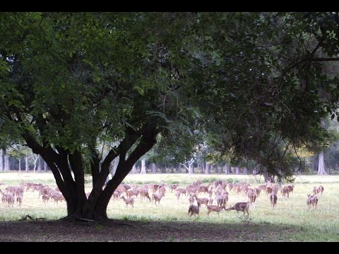 Colonia Uruguay, Parque Nacional Anchorena.