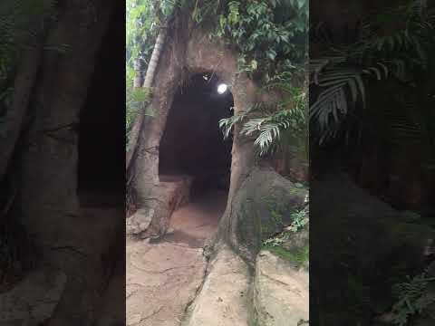 caldas   novas   Goiás.