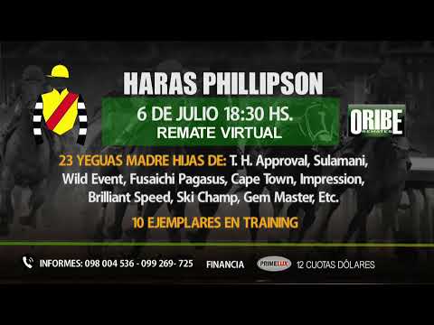 CARRERAS SINT COLONIA 6/7/2023