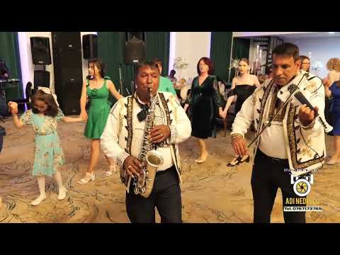 Colaj TOP sârbe - Iulică Pistol și Ionel de la Cetate -Formația Profesional - Nuntă Lavinia & Robert