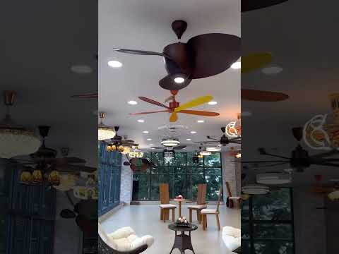 India’s Largest Luxury Designer Fan Showroom