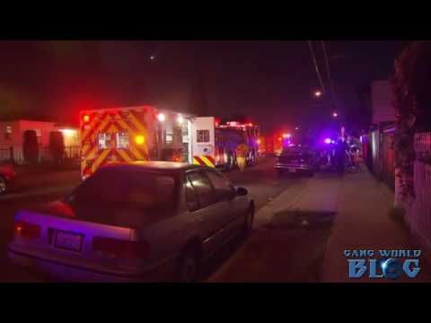 1 Dead, 1 Injured in Gramercy Park Shooting (Los Angeles)