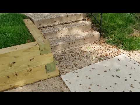 Brood X Cicadas 2021 – Loud 17-Year Cicada Sounds & Swarm in Reston, VA | 4K