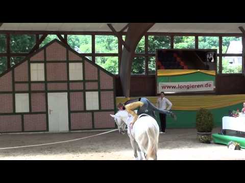 CVI Krumke 2013 - Florian Otten Technik