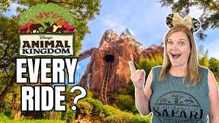 BEST DISNEY DAY! Animal Kingdom + Magic Kingdom = 1 DAY!