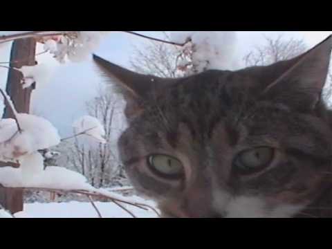 Winter will end one day