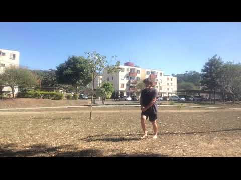 Passai (Kōryū passai / Gusukuma no passai / Passai gua). Okinawa Shōrin-ryū Shidōkan Karate-dō