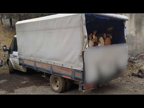 Հունվարի 12-ին ու 13-ին Գուգարքի ոստիկաններն ապօրինի ծառահատման դեպքեր են բացահայտել