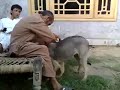 Pathan Desi MMS