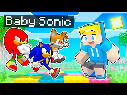 Abbiamo ADOTTATO Dei Cuccioli Di SONIC!! - Minecraft ITA