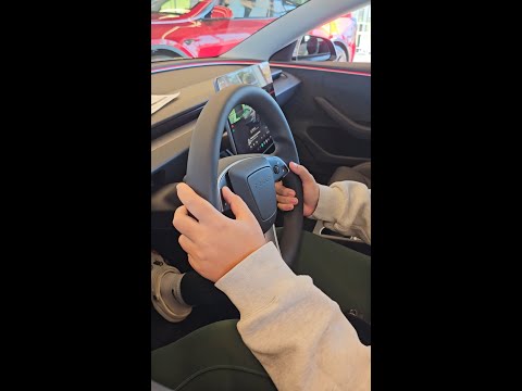 11.23.2024 - Thinking About Buying a Tesla Model 3 Performance ... Tallahassee, FL Test Drive