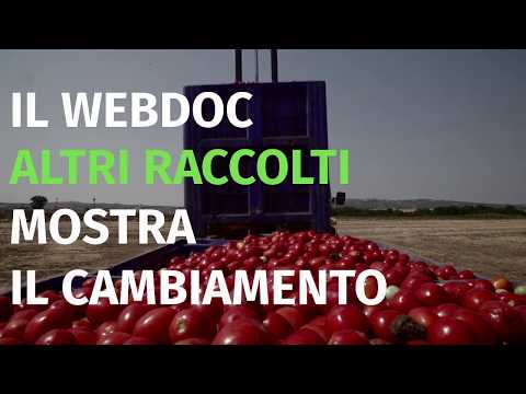 Come opporsi allo sfruttamento del lavoro in agricoltura