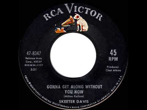 1964 HITS ARCHIVE: Gonna Get Along Without You Now - Skeeter Davis