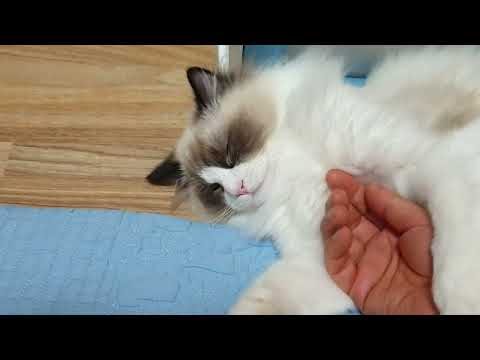 보들보들.. 그만 만져요