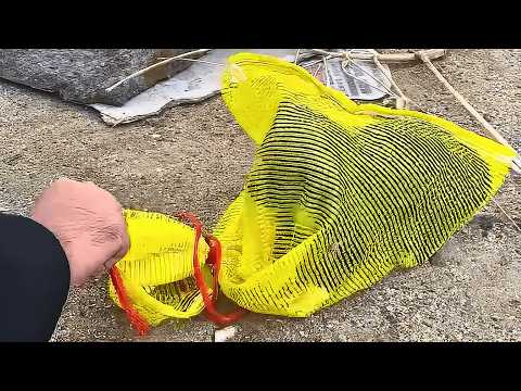 ¡Cachorro abandonado en red, tirado a la basura, lucha por sobrevivir!