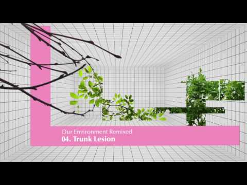 Iszlai - Our Environment Remixed: 04 - Trunk Lesion