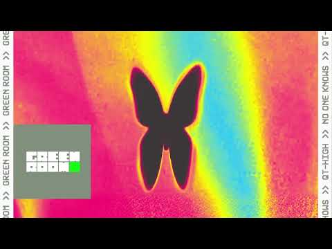 QT-HIGH - No One Knows (Visualizer)