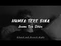 Humko Tere Bina Jeena Toh Sikha 💔 | LoFi Song ✨ | Chale Jaana Phir | Slowed and Reverb Song..