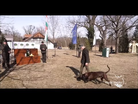 Jagdtee Minuten mit dem Schweisshundführer, Nándor Klinkó – 198. Sendung – 20.01.2018