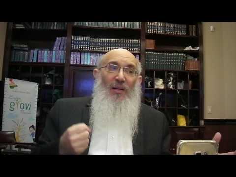 Tanya Chapter 12 by Rabbi Spalter