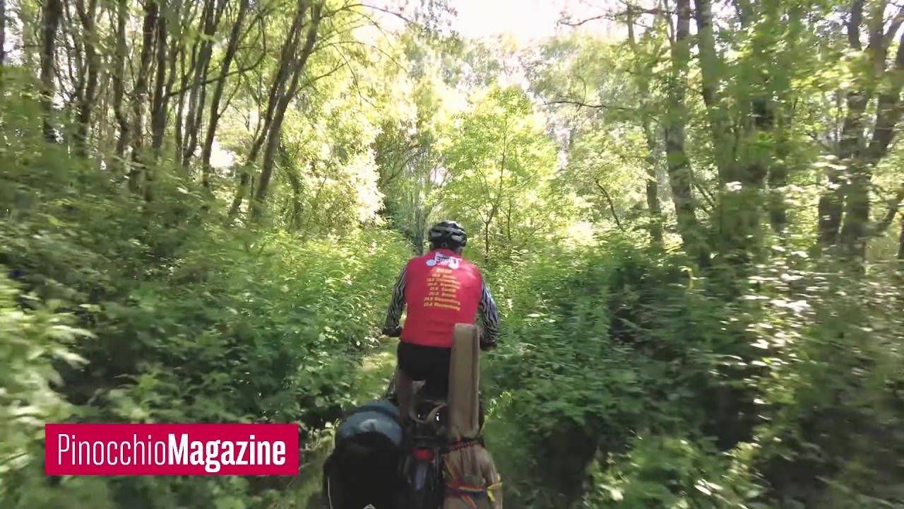 The Song Cycle - Nick Kelly (promo)