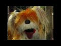 Sesame Street Barkley Demosntrates Near And Far