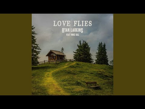 Love Flies