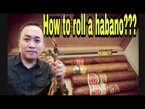 Cuban Cigar Rolling in Havana Cuba 🇨🇺