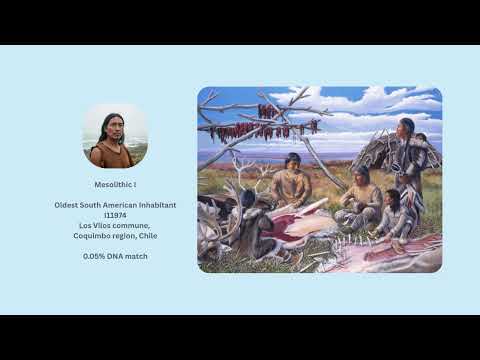 Oldest South American Inhabitant I11974 Los Vilos commune, Coquimbo region, Chile - DNA Match