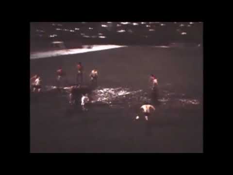 Benfica v Liverpool European Cup Quarter Final 1st Leg 01-03-1978