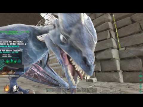 Xbox One Ark Scorched Earth Server Official PVP